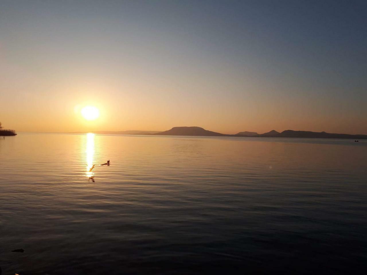 Balaton View *